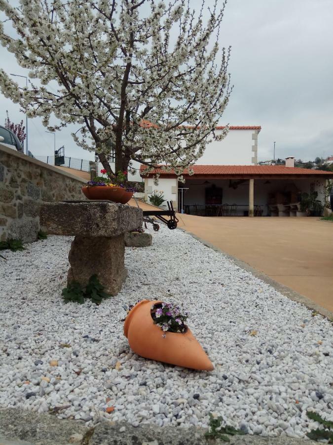Casa Freitas Villa Paredes de Coura Exterior foto